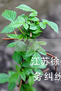 江苏徐州公司债务律师一对一咨询-徐州债务纠纷律师事务所排名