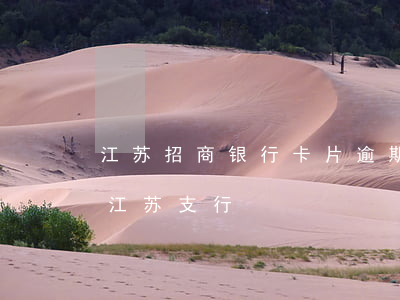 江苏招商银行卡片逾期怎么处理-招商银行江苏支行