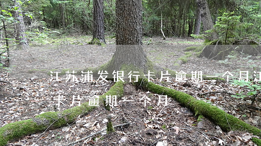 江苏浦发银行卡片逾期一个月(江苏浦发银行卡片逾期一个月)