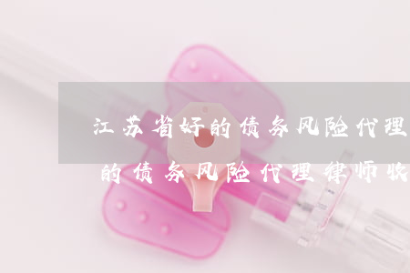 江苏省好的债务风险代理律师收费（江苏省好的债务风险代理律师收费）