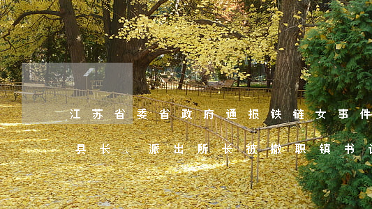江苏省委省政府通报“铁链女”事件：县委书记、县长、派出所长被撤职，镇书记、镇长被纪检监察留置！
