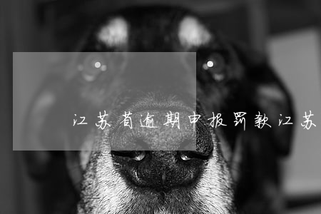 江苏省逾期申报罚款(江苏个税逾期申报)