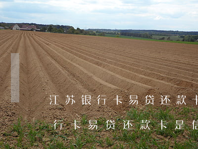江苏银行卡易贷还款卡是信用卡吗-江苏银行卡易贷还款卡是信用卡吗安全吗