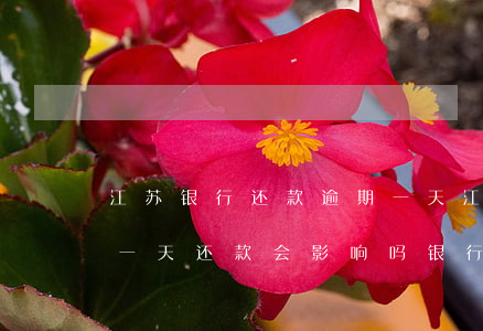 江苏银行还款逾期一天(江苏银行信用卡逾期一天还款会影响吗银行)