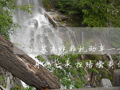 江苏高院：非机动车一方应对机动车一方的人身伤亡承担赔偿责任，否则是曲解立法原意！