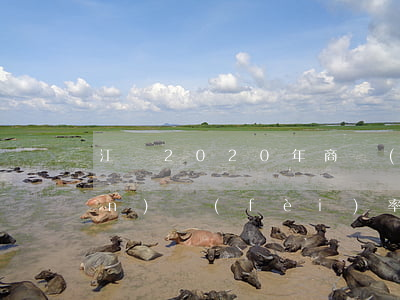 江蘇2020年商業(yè)車險(xiǎn)費(fèi)率的規(guī)定是怎樣的
