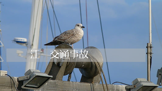 江蘇交通事故