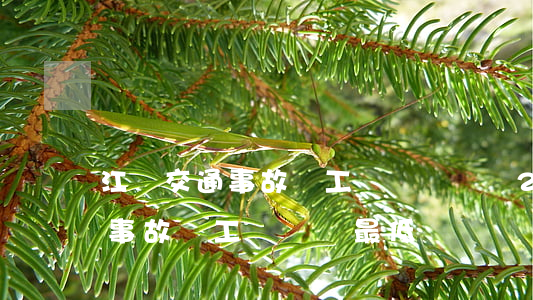 江蘇交通事故誤工費賠償標準2021(交通事故誤工費賠償最低標準)