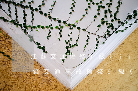 江蘇交通傷殘9級(jí)一次性賠償多少錢(交通事故傷殘9級(jí)一次性賠償多少)