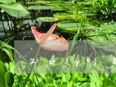 江蘇企業(yè)貸款逾期