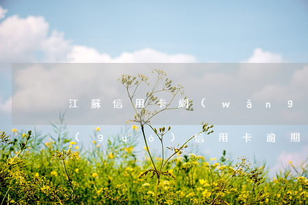 江蘇信用卡網(wǎng)上公布逾期(全國(guó)信用卡逾期)