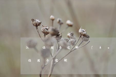 江蘇信用卡逾期會(huì)顯示嗎(為什么信用卡逾期)