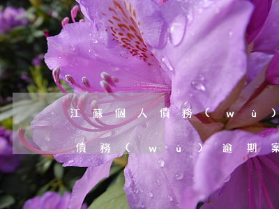 江蘇個人債務(wù)逾期案例-江蘇個人債務(wù)逾期案例分析