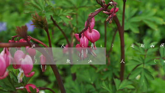 江蘇個人負(fù)債逾期如何規(guī)劃還款-江蘇個人債務(wù)