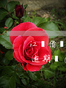 江蘇借唄逾期協(xié)商還款(螞蟻借唄逾期協(xié)商)