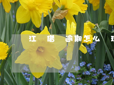 江蘇借貸逾期怎么辦理信用卡