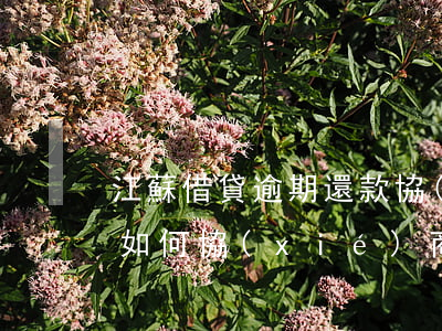 江蘇借貸逾期還款協(xié)商(貸款逾期如何協(xié)商還款)