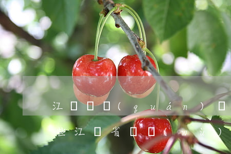 江蘇債權(quán)債務(wù)包括哪些(江蘇省債務(wù)規(guī)模)