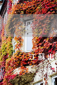 江蘇出境旅游合同