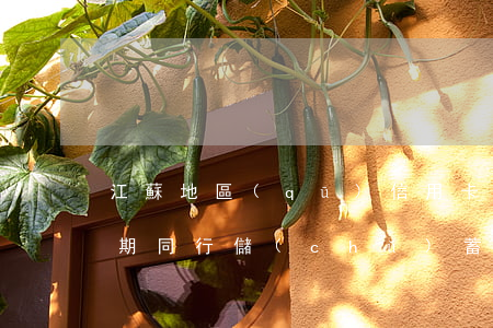 江蘇地區(qū)信用卡逾期案例(信用卡逾期同行儲(chǔ)蓄卡)