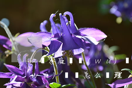 江蘇家庭債務(wù)糾紛律師 家庭債務(wù)糾紛怎么處理