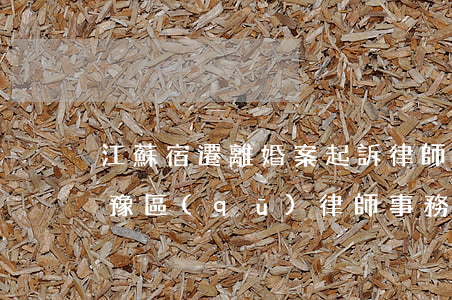 江蘇宿遷離婚案起訴律師怎么委托(宿遷市宿豫區(qū)律師事務(wù)所)