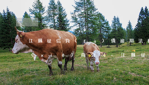 江蘇征信負(fù)債逾期法務(wù)協(xié)商公司-江蘇征信負(fù)債逾期法務(wù)協(xié)商公司有哪些