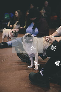 江蘇律師代理費(fèi)計(jì)算器(江蘇律師收費(fèi))