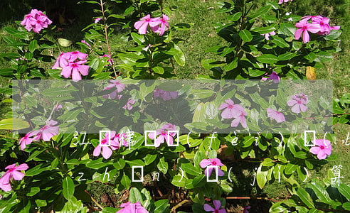 江蘇律師費(fèi)標(biāo)準(zhǔn)計(jì)算器(江蘇省律師收費(fèi))