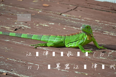 江蘇律師費收費標(biāo)準(zhǔn)計算器(江蘇律師代理費計算器)