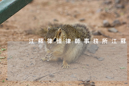 江蘇律恒律師事務所(江蘇常恒律師事務所)