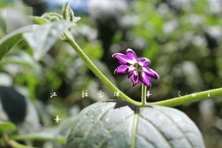 江蘇恒念律師事務(wù)所(江蘇恒念律師事務(wù)所好嗎)