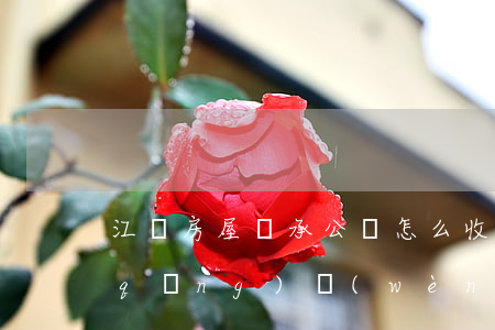 江蘇房屋繼承公證怎么收費(fèi)(請(qǐng)問(wèn)辦房產(chǎn)繼承公證是怎么收費(fèi)的?)