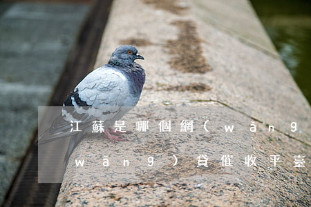 江蘇是哪個網(wǎng)貸催收公司(網(wǎng)貸催收平臺)