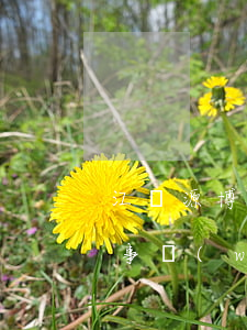 江蘇源博律師事務(wù)所(江蘇源博律師事務(wù)所何乃盈)
