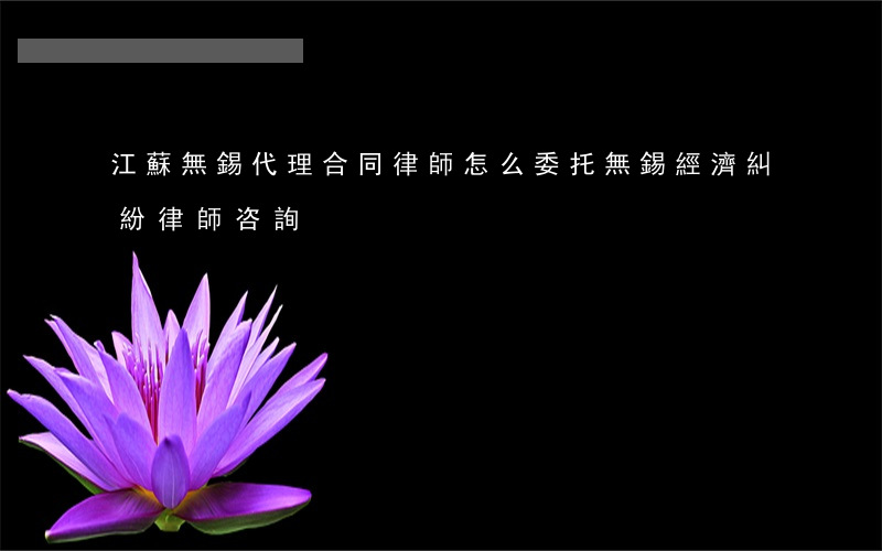 江蘇無錫代理合同律師怎么委托(無錫經濟糾紛律師咨詢)