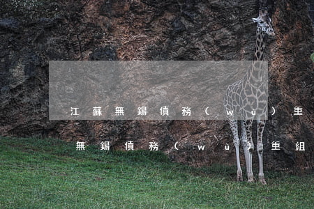 江蘇無錫債務(wù)重組糾紛律師-江蘇無錫債務(wù)重組糾紛律師電話號碼