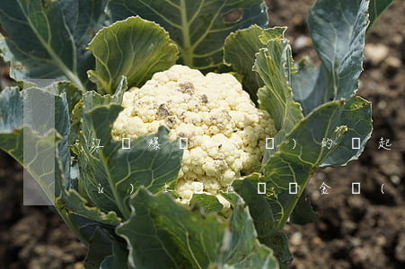 江蘇爆發(fā)的兩起銀行使用客戶(hù)上億巨額資金質(zhì)押簽票案@再次重溫《銀行承兌匯票業(yè)務(wù)潛在洗錢(qián)風(fēng)險(xiǎn)及防范措施淺