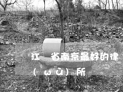 江蘇省南京最好的律師(南京最好的律師事務(wù)所)