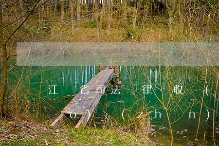 江蘇省司法廳律師收費(fèi)標(biāo)準(zhǔn)(江蘇省司法廳律師收費(fèi)標(biāo)準(zhǔn)doc)