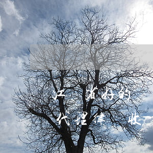 江蘇省好的債務(wù)風(fēng)險代理律師收費(fèi)-江蘇省律師服務(wù)風(fēng)險代理收費(fèi)