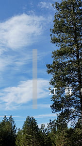 江蘇省泰州市的精神損害賠償項目是什么