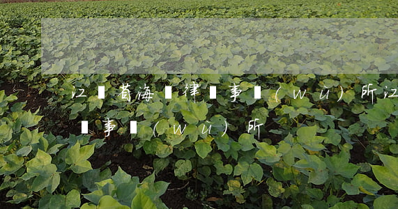 江蘇省海悅律師事務(wù)所(江蘇徐海律師事務(wù)所)