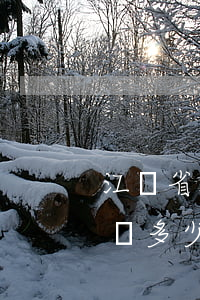 江蘇省秦淮區(qū)債務(wù)糾紛律師多少錢-江蘇省秦淮區(qū)債務(wù)糾紛律師多少錢一次