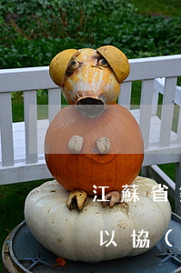 江蘇省銀行信用卡逾期(江蘇銀行貸款逾期可以協(xié)商延期嗎?)