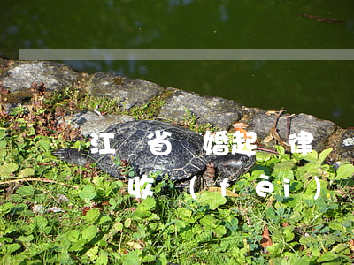 江蘇省離婚起訴律師費(fèi)(江蘇省律師收費(fèi)標(biāo)準(zhǔn))
