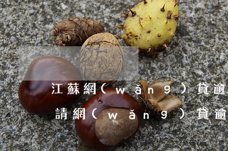 江蘇網(wǎng)貸逾期停息掛賬怎么申請 網(wǎng)貸逾期如何協(xié)商解決停息掛賬