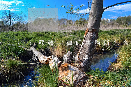 江蘇臻宇律師事務所怎么樣(南京臻宇律師事務所收費標準)