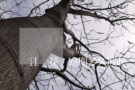 江蘇花唄逾期多久被起訴