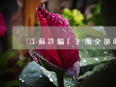 江蘇詐騙13萬全部退還判幾年